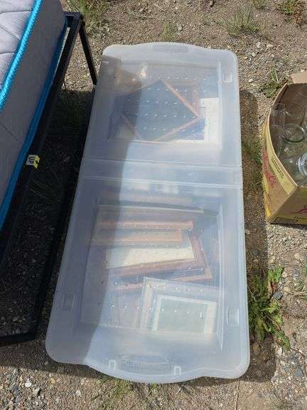 Assorted Picture Frames in Storage Container