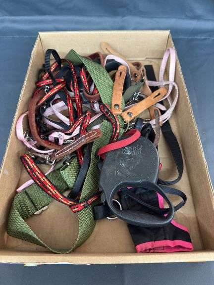 Box of dog leashes dog collars image