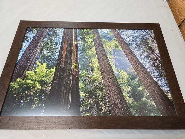 Framed Art image
