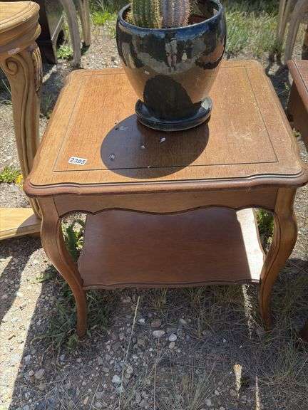 Small Wooden Side Table with Shelf and Cactus