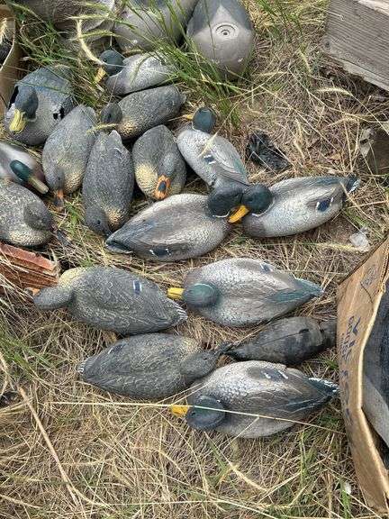 Duck and goose decoys
