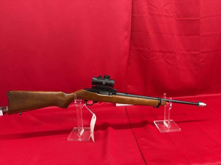 Ruger 10/22 .22LR With BSA Red dot image