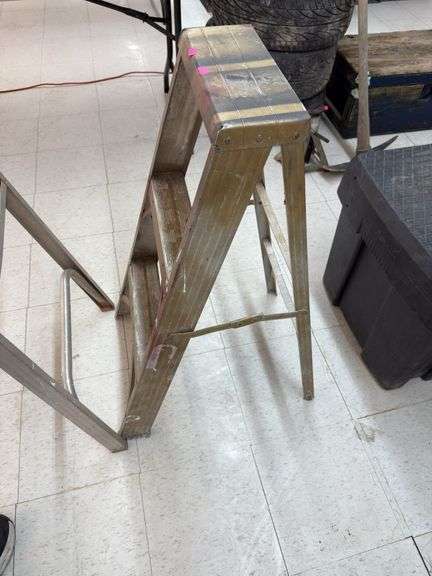 3Fr step ladder image