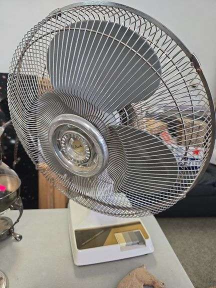 16" Fan image