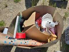 Box Lot of Assorted Decorative and Household Items