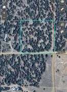 Colorado Mountain Property Auction • 5± (Two- 2.5 acres tracts)1 with Mobile Home and improvements, 1 land only