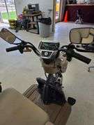 New Assembled IRGC40 Electric Mini Golf Cart- Purple