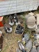 Duck and goose decoys