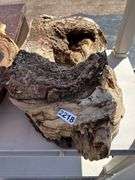Two Pieces of Natural Driftwood