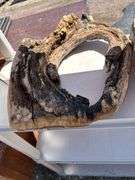 Two Pieces of Natural Driftwood