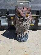Decorative Wall Panels, Owl Decoy, and Tool Box