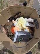 Box Lot Assorted Household Items