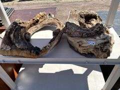 Two Pieces of Natural Driftwood