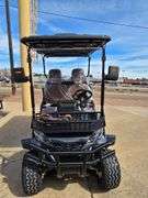 New Assembled Electric Golf Cart SDLGC80