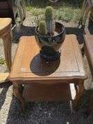 Small Wooden Side Table with Shelf and Cactus