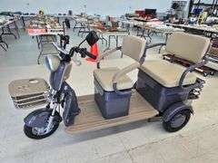 New Assembled IRGC40 Electric Mini Golf Cart- Purple