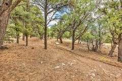 Colorado Mountain Property Auction • 5± (Two- 2.5 acres tracts)1 with Mobile Home and improvements, 1 land only