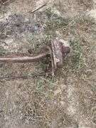 Front axle