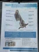 New IRLD 12" Mini Skid Hydraulic Digger Arm