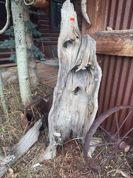 Burl-wood stump yard decor image
