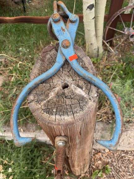 Ice Tongs image