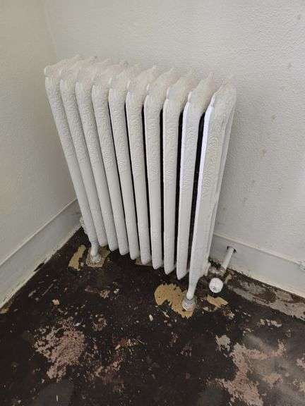 Radiator Heater 20"×38" from First Floor Rooms image