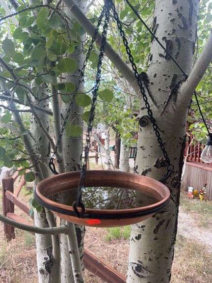 Copper hanging birdbath image
