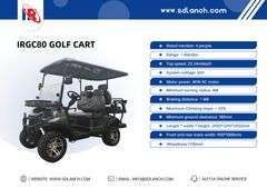 New Assembled Electric Golf Cart SDLGC80