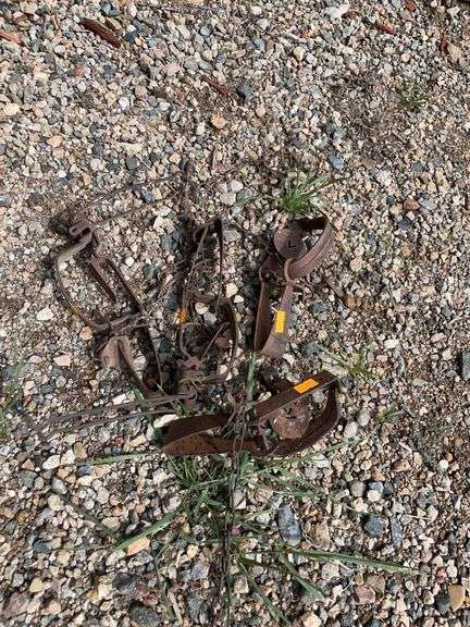 For animal traps image