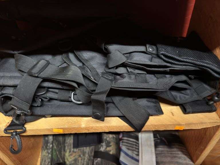 5 gun scabbards. image