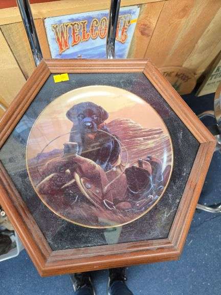 Puppy on Saddle Picture image