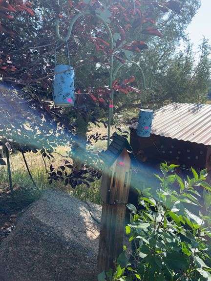 Birdhouse and shepherds hook Yard art image