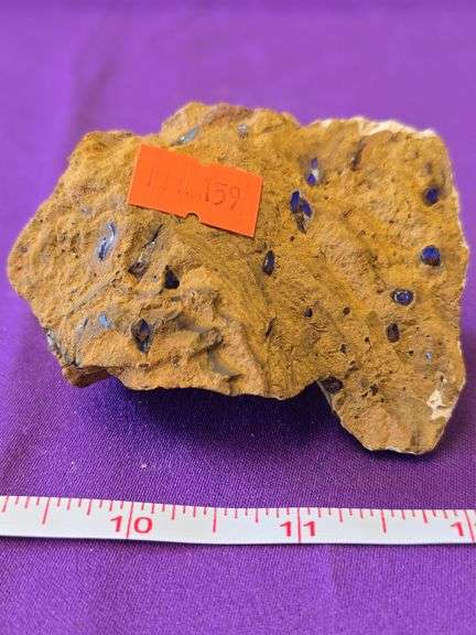 Electric Blue purple Boulder Opal chunk Wood Opal Australia rough 6 Oz image