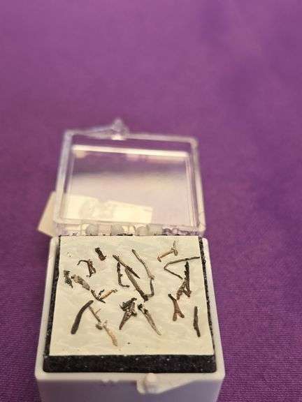 Native Silver Wire Dendrite bullion lot image