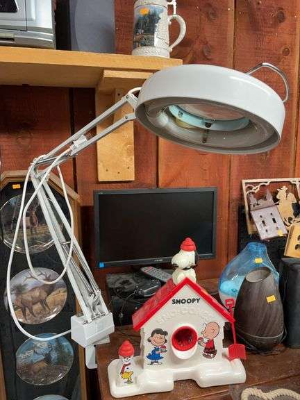 Bench mounted magnification light image