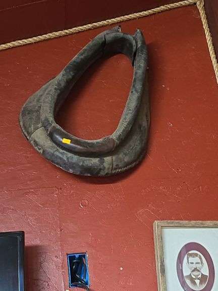 Horse Coller image