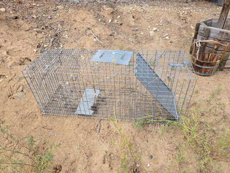 Live Animal Trap image