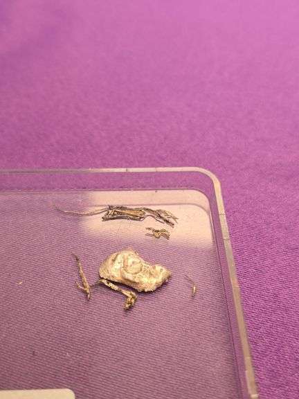 Dendrite Native Silver wire and Silver Nugget Specimens 1.19 Grams image