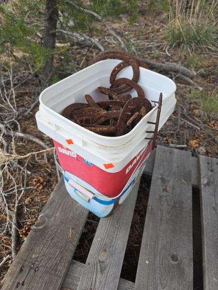 Bucket of Horseshoes image