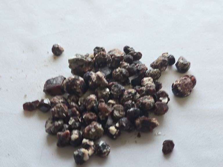 Excellent lot red garnets rough larger sizes 8 Oz. image