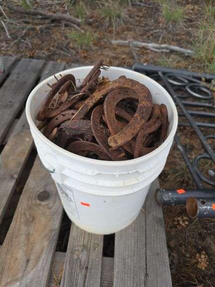 Bucket of Horseshoes image