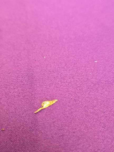 Native Wire gold Crystallized Gold Nugget Specimen micro .05 Grams image