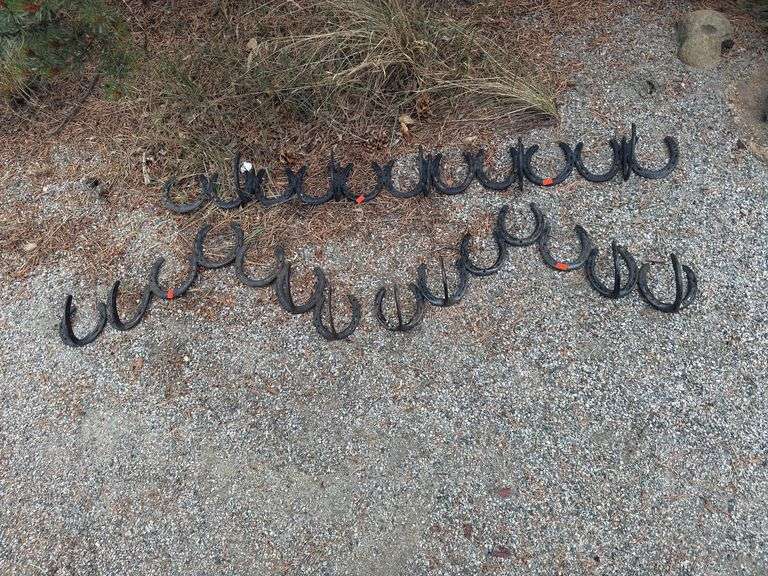 Horse shoe hook set image