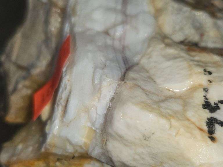Large Spencer Idaho Opal Rough Pink Cream 14 Oz. image