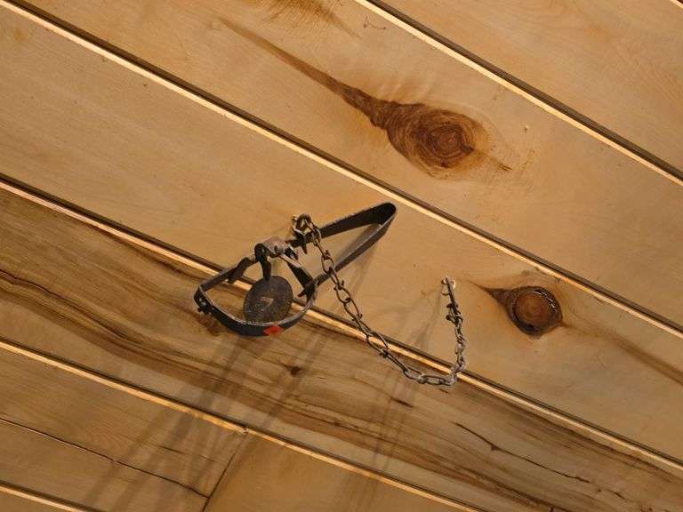 Vintage Animal Leg Trap image