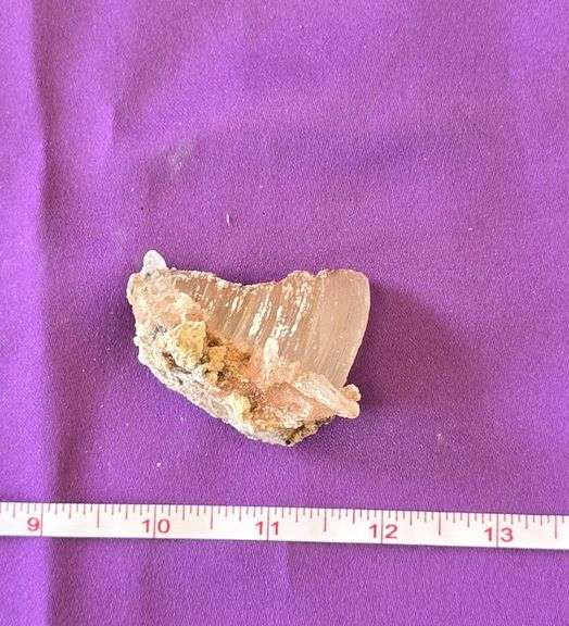 Rams Selenite Mexico 2 Oz image
