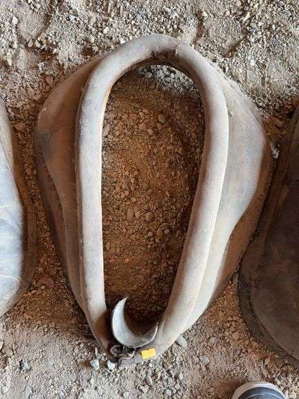 Horse collar image