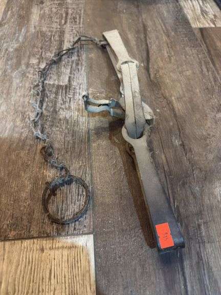 Small game trap image