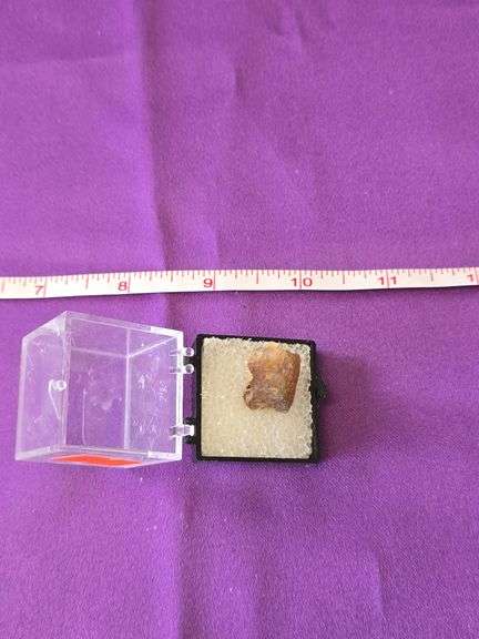 Iron Rainbow Fluorite in Perky Arizona image
