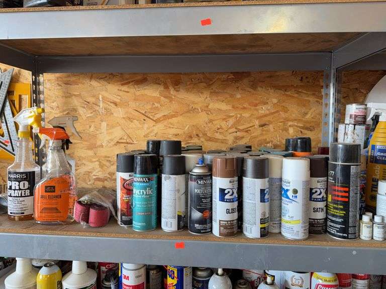 Contents of shelf assorted paint image
